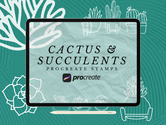 Download Cactus and Succulents Procreate Stamps - Procreate Collection