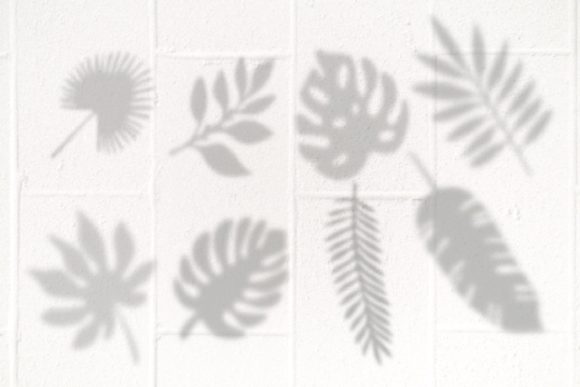 Download Leaf Shadows Procreate Brushes - Procreate Collection