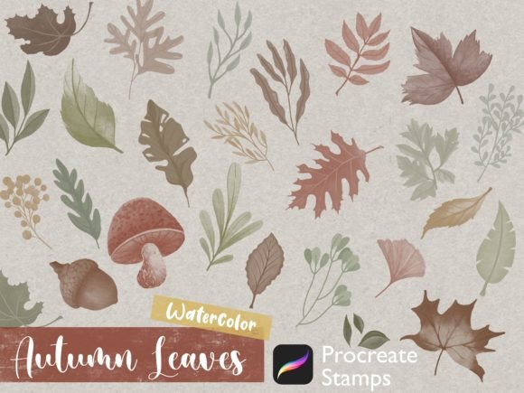 Download Procreate Autumn Leaves Stamp Fall Art - Procreate Collection