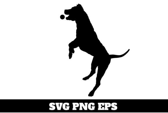 Download American Pit Bull Jumping Playing - Premium Resources