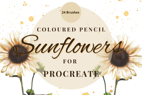 Download Procreate Coloured Pencil Sunflowers - Procreate Collection
